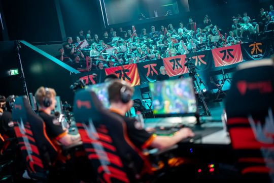 的双向奔赴 的双向奔赴