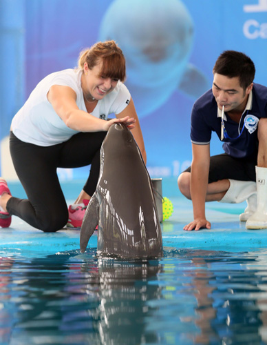 教练与心理 教练与心理